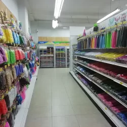 Fantasías Miguel