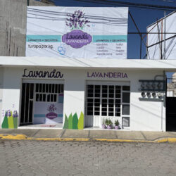 Lavanda lavandería de Yun