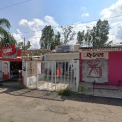 Lavandería & Ciber Eucaliptos