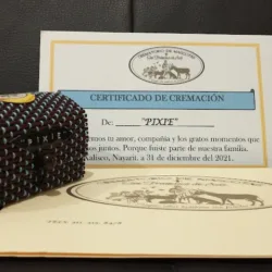 Crematorio de mascotas San Francisco de Asis