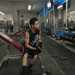 Lions Gym