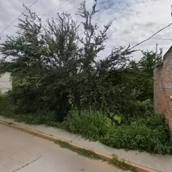 Mercería y papeleria