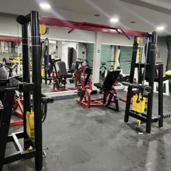 OSO'S GYM