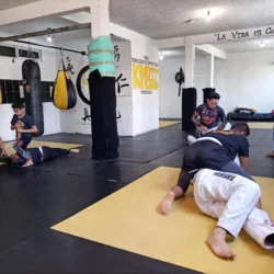 Academia MarteMMA