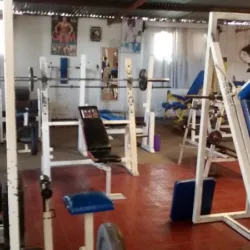Universal gym