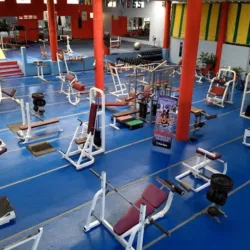 Rott Gym