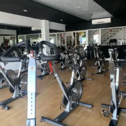 Evolve Gym Constituyentes