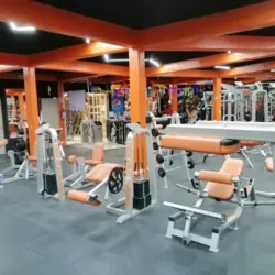 Iron Gym