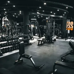 Muscle Fitness Center