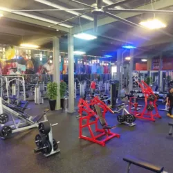 Go! Fitness Parque Jardin
