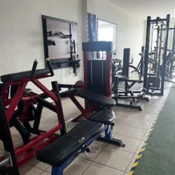 GYM SHARK