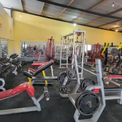 Gym Olympus