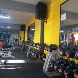 Máster gym