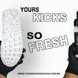 THE SNEAKERS CLEAN