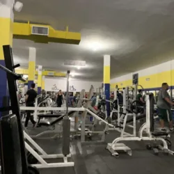 Oasis Gym