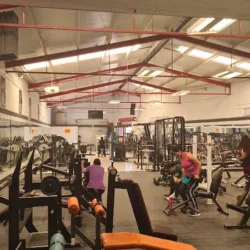 Viper's Gym