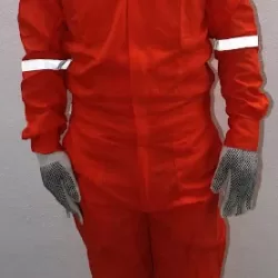 Corporativo Pnuel S de RL de CV