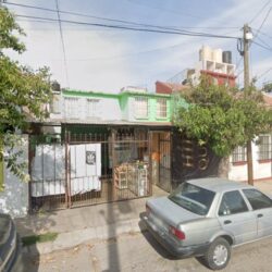 Picazo Tintoría