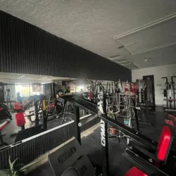 Wolf Gym Cuerna