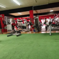 Body Gym
