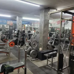 Shape Gym mixto