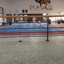 Gimnasio FES Acatlán
