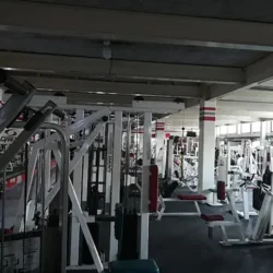 AMERICAN'S GYM