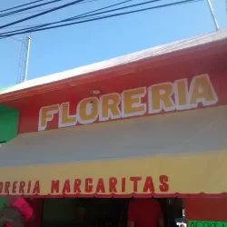 FLORES MARGARITAS