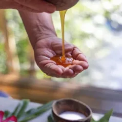 Spa Agua Dulce Campeche. "Bienestar por medio de manos"