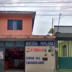 Las 4 Lunas y el Gato