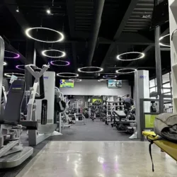 1Mr Fitness