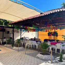 Florida Pool & Party