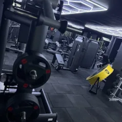 Primal Gym Saltillo