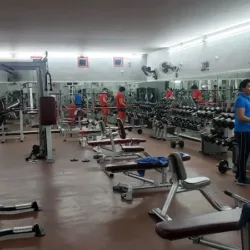 The Row