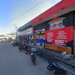 Plastic Home