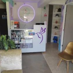 Octava Esencia Holistic Spa