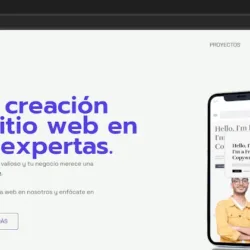 Nicoweb Diseño web profesional