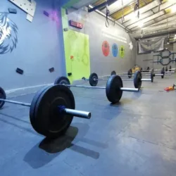 Battle Wolf Crossfit