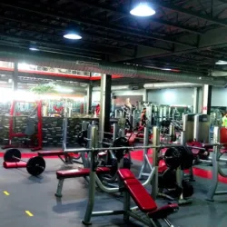 Energy Training Zone