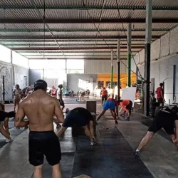 Lion's Crosstraining y Functional