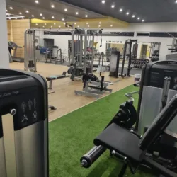 Wildfit Gym Bodega