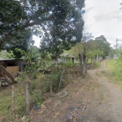 brujos de catemaco curandero santero