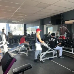 New Gym Rey