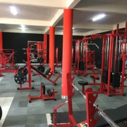 The King Gym Xochitenco