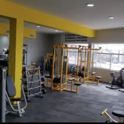 Fuerza Gym