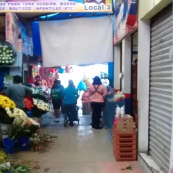 Modatelas Oaxaca IV