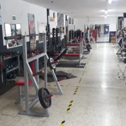 Gimnasio Mazatlán Mensualidad $495.00 M.N.