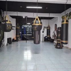 Box Aleman
