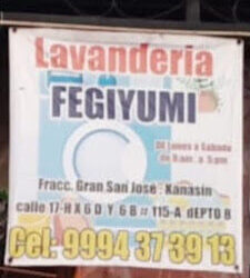 - lavandería FEGIYUMI