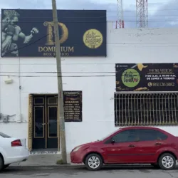 DOMINIUM BOX STUDIO